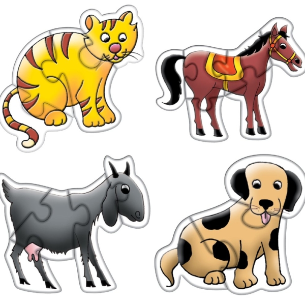 Creative's- Domestic Animals