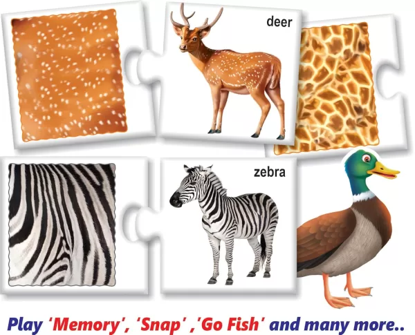 Find & Match Animals & Their Skins