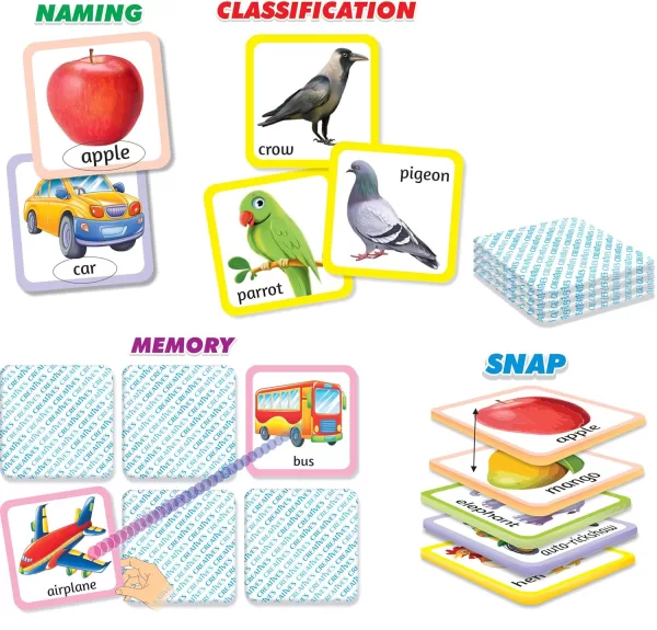 Let’s Learn New Words & Classification - Image 3